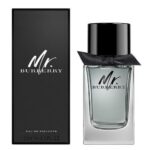 Burberry Fragrance Mr Burberry EDT for Men - 100ml