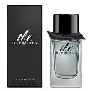 Burberry Fragrance Mr Burberry EDT for Men - 100ml
