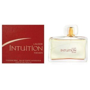 Estee Lauder Fragrance Intuition EDT for Men 100ml