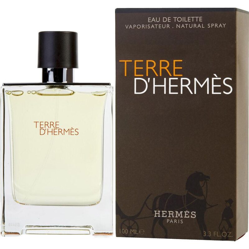 Terre D'Hermes Eau de Toilette for Men 100ml